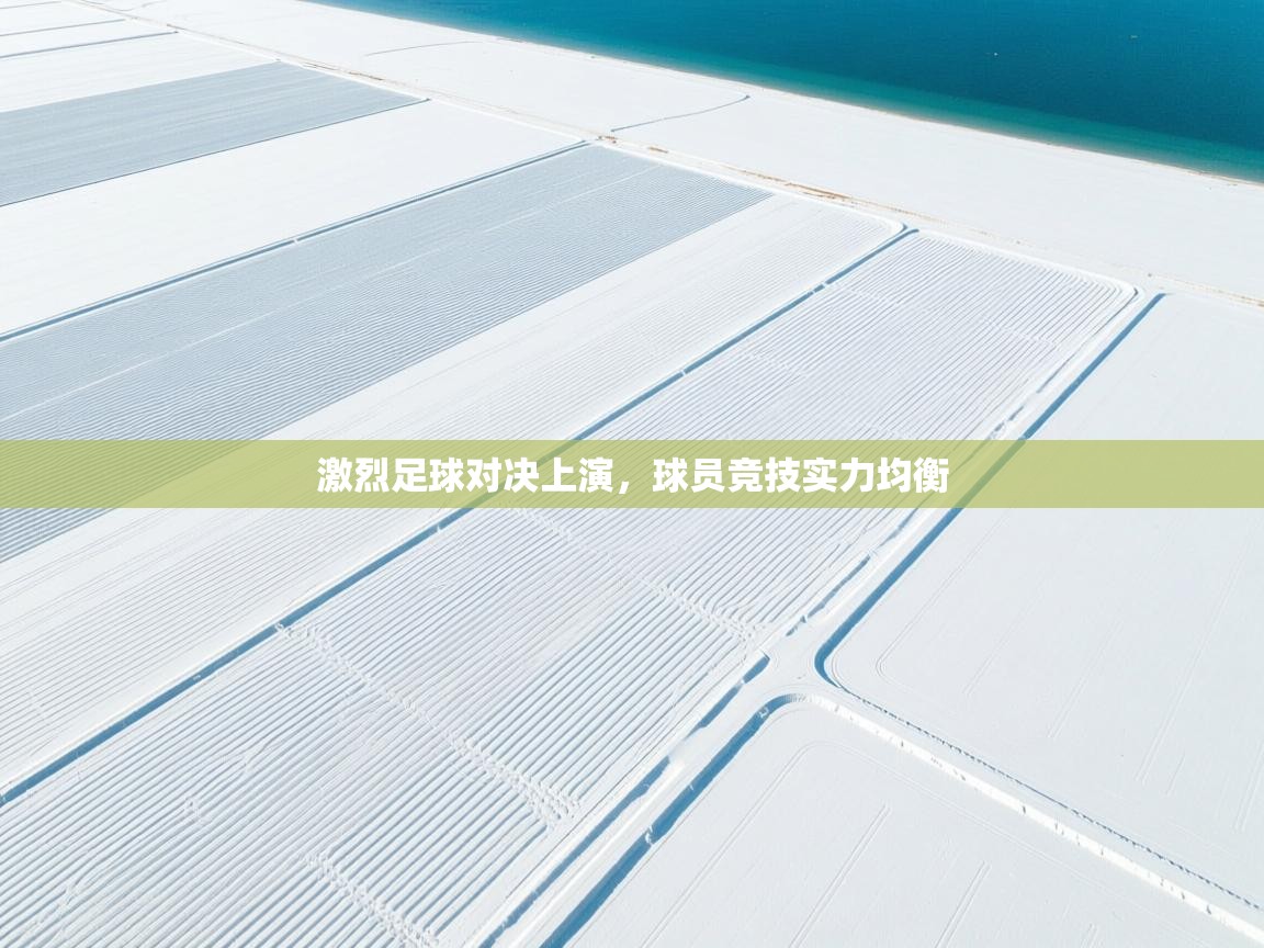 激烈足球对决上演，球员竞技实力均衡  第1张