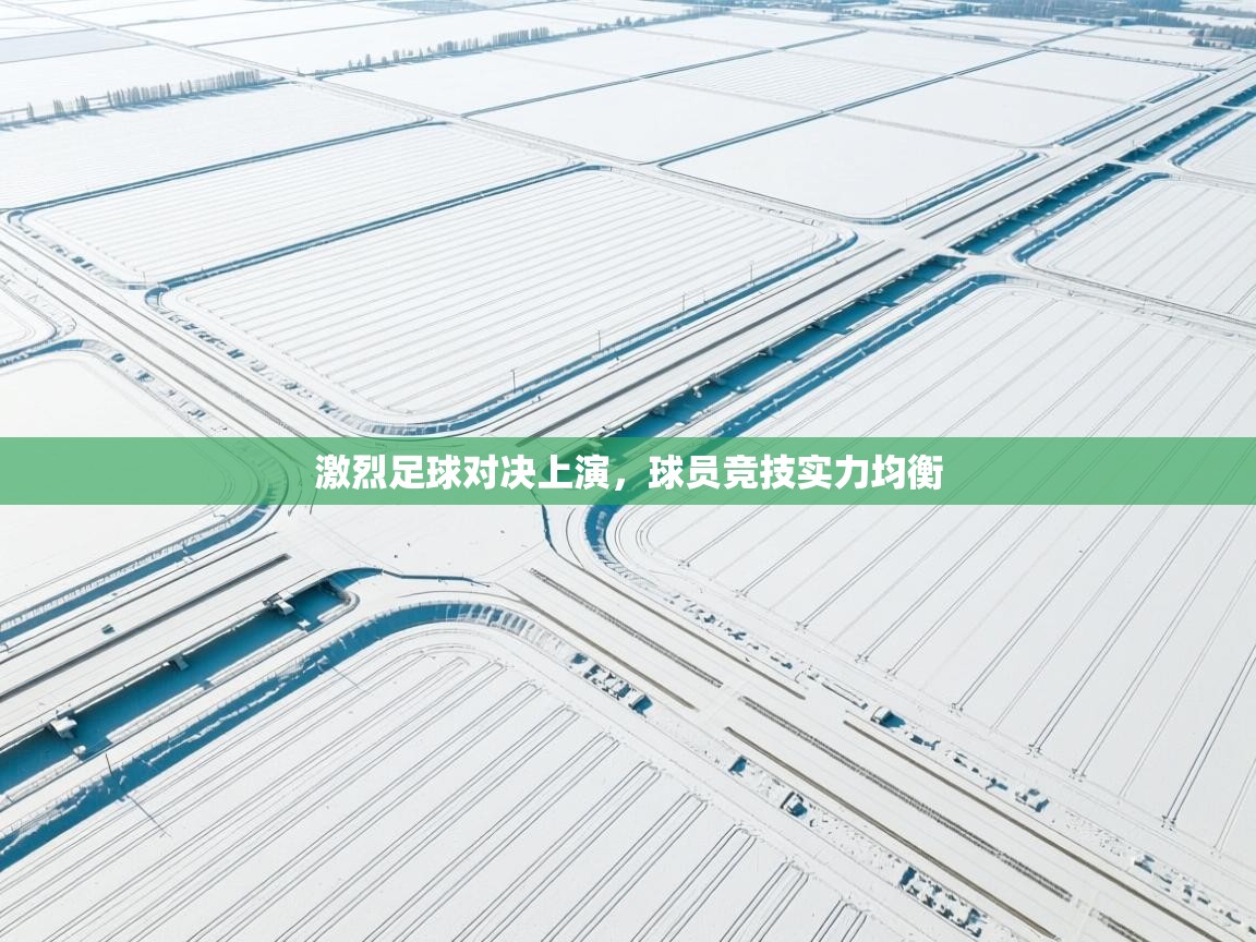 激烈足球对决上演，球员竞技实力均衡  第2张