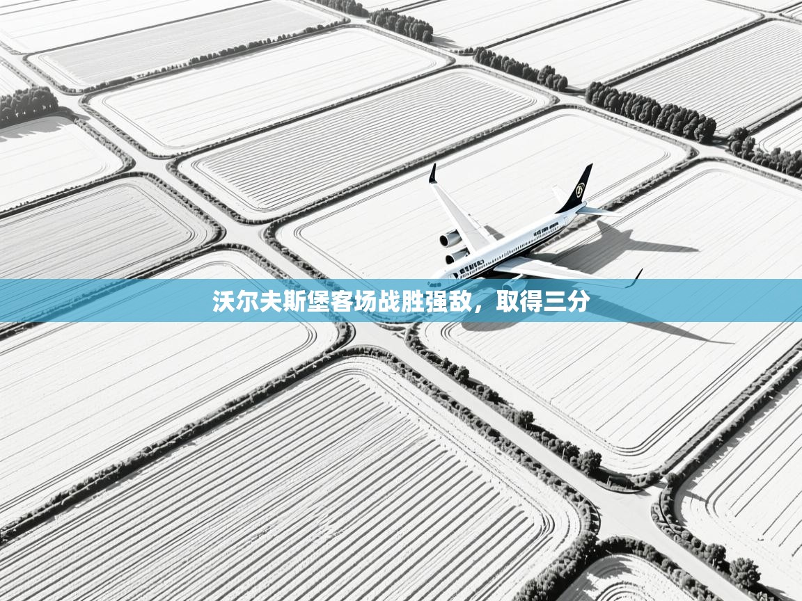 沃尔夫斯堡客场战胜强敌,取得三分