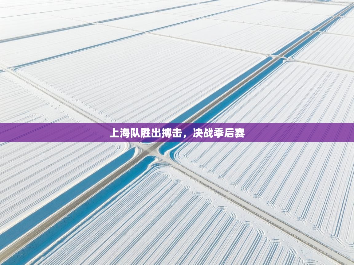 上海队胜出搏击,决战季后赛