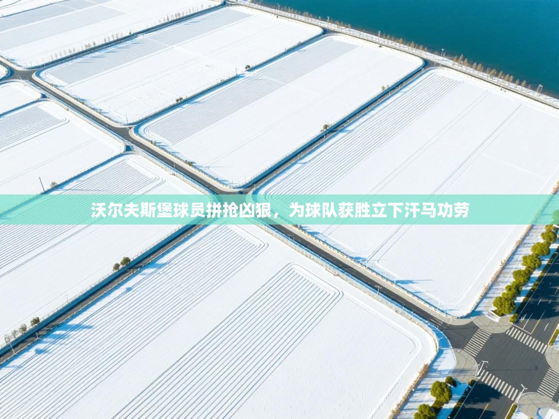 沃尔夫斯堡球员拼抢凶狠，为球队获胜立下汗马功劳