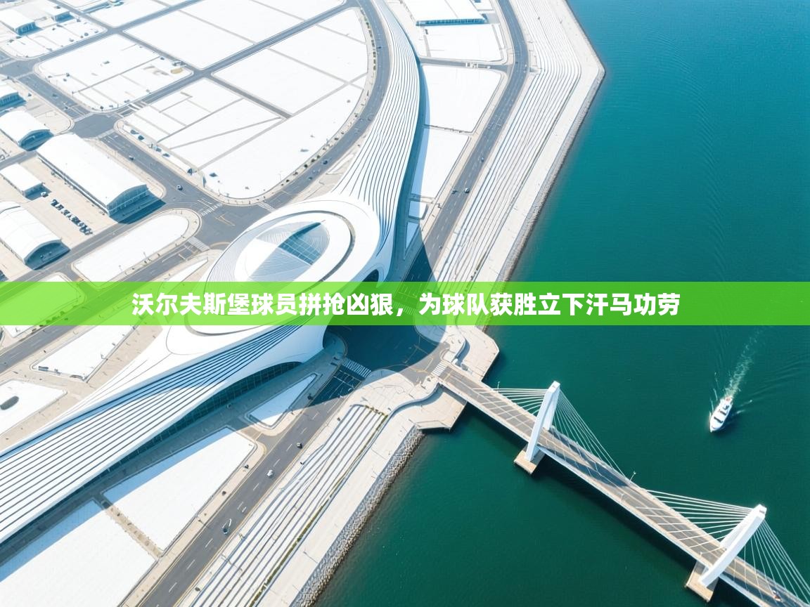 沃尔夫斯堡球员拼抢凶狠，为球队获胜立下汗马功劳  第2张