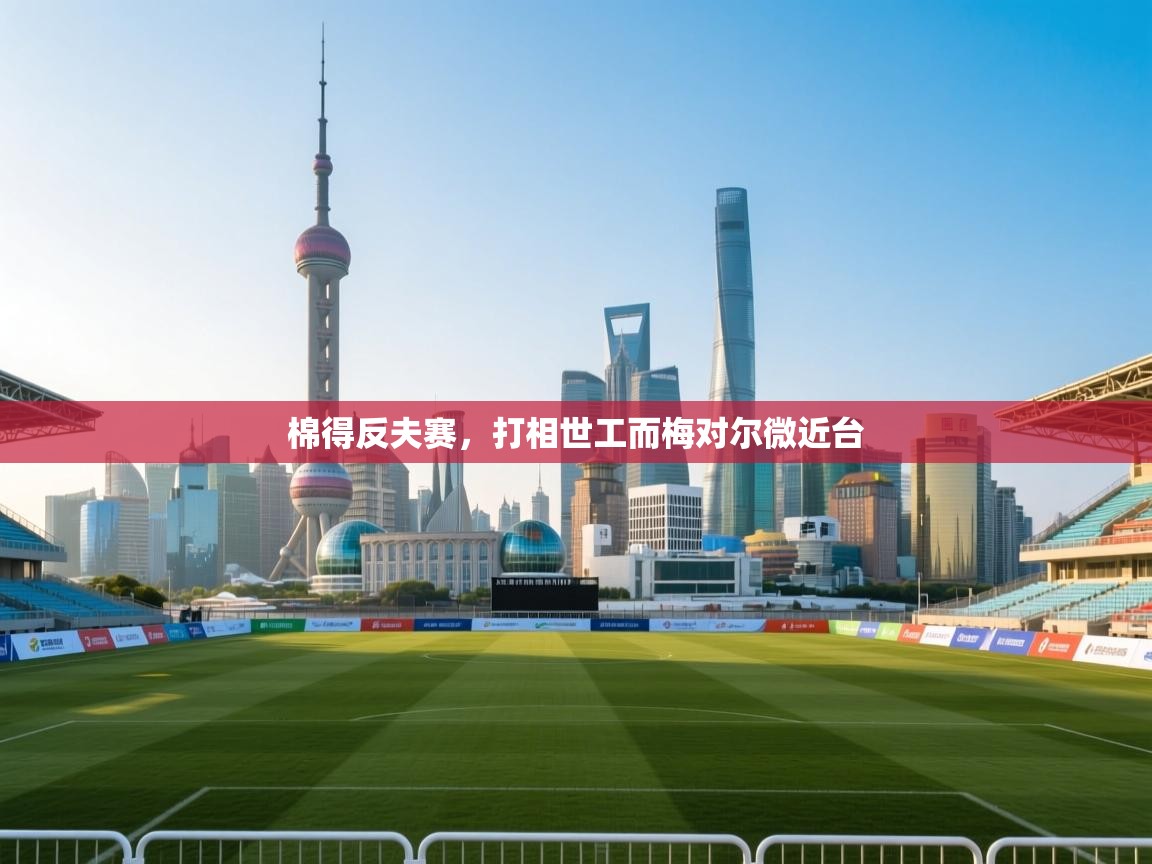 棉得反夫赛,打相世工而梅对尔微近台 第2张