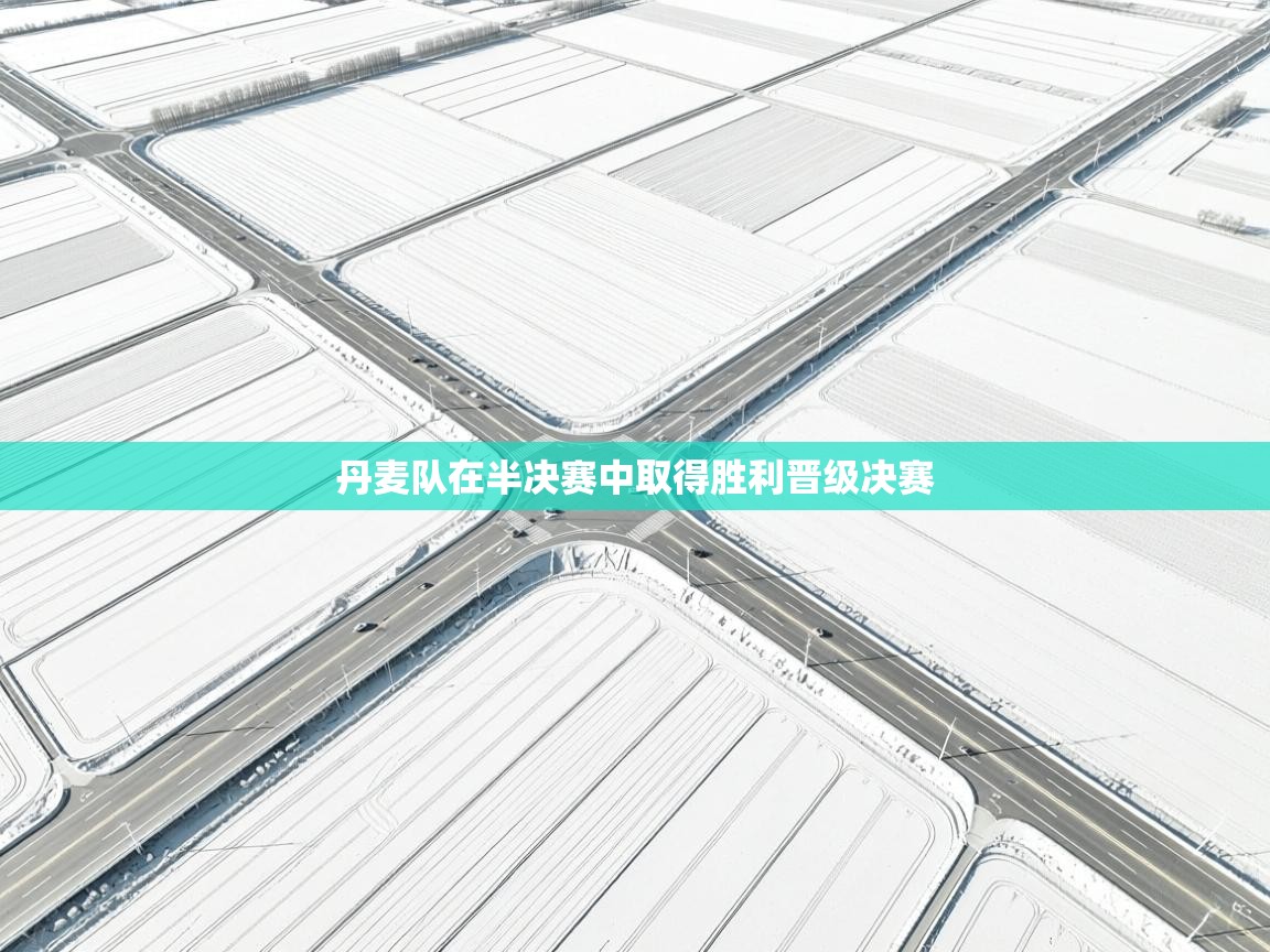 丹麦队在半决赛中取得胜利晋级决赛