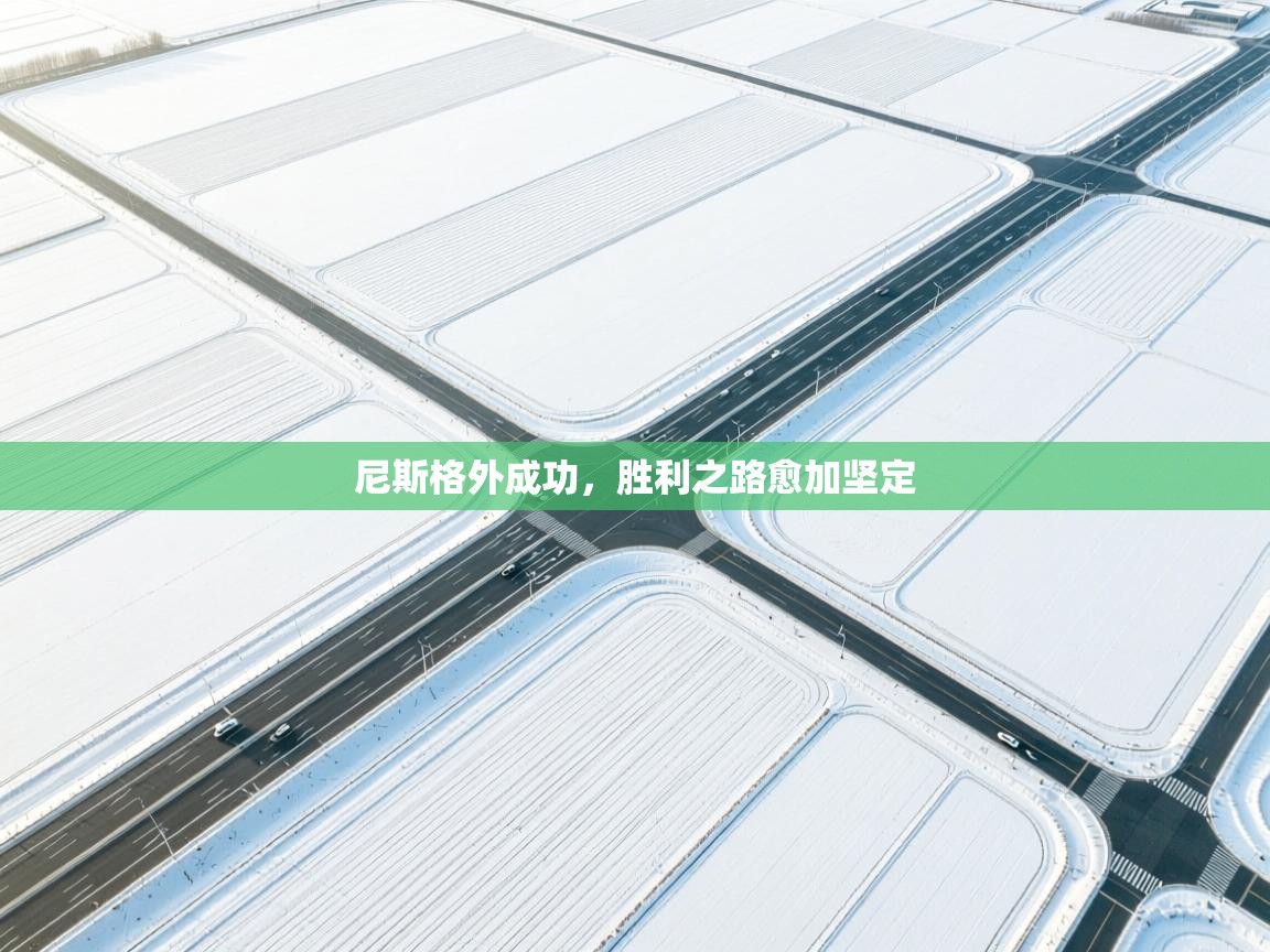 尼斯格外成功，胜利之路愈加坚定  第2张